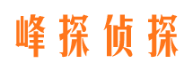 巴中峰探私家侦探公司